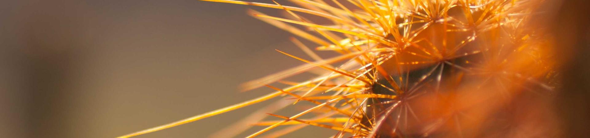 山东万工金属材料有限公司 &middot; 盐津运营中心